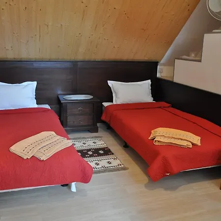 Гостьовий будинок Casa Matei Брашов