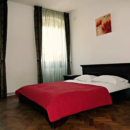 Гостьовий будинок Casa Matei 3*